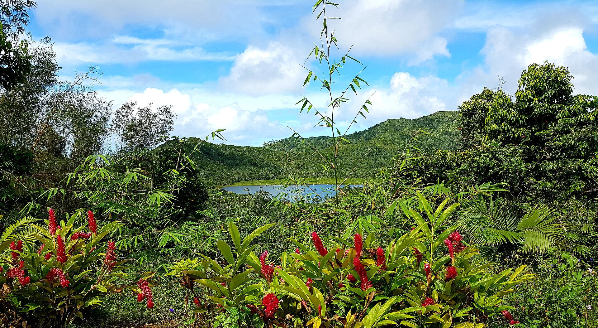 Grand Etang Lake in the crater of an extinct volcano in Grenada