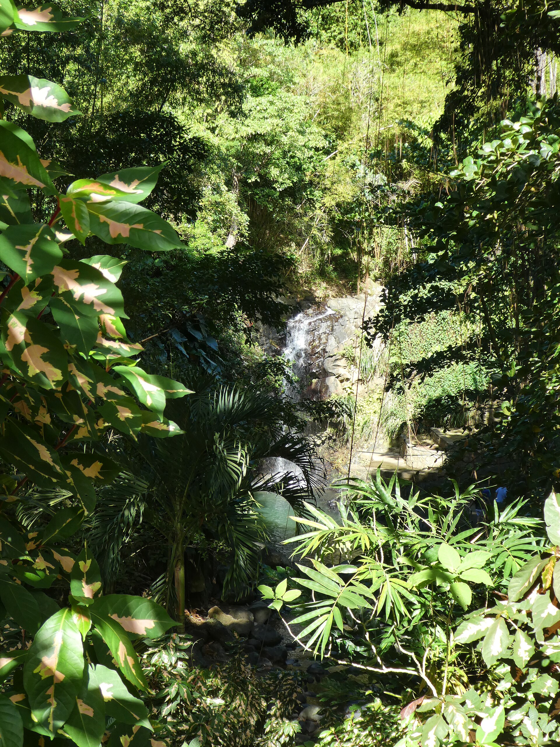 Annandale Waterfall surrounded by rainforest in Grenada