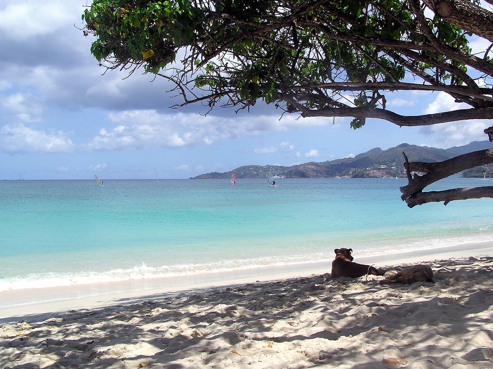 Grand Anse Beach near St. George's, Grenada, with calm turquoise water and palms